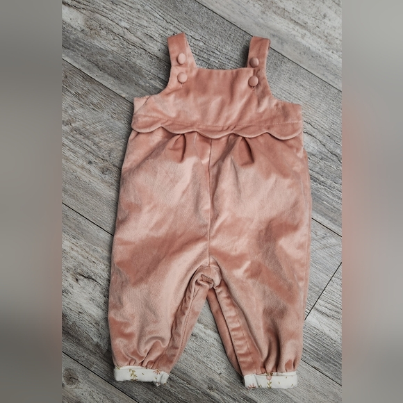 Rachel Zoe Pink Velvet Overalls - Picture 1 of 7